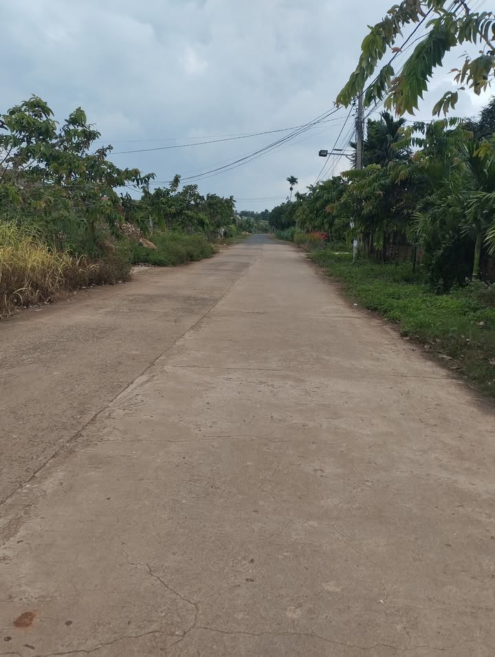 Đất nền Tâm Thắng, Cư Jút 1620m² - Giá chỉ 33 triệu/m ngang, cơ hội đầu tư tuyệt vời!