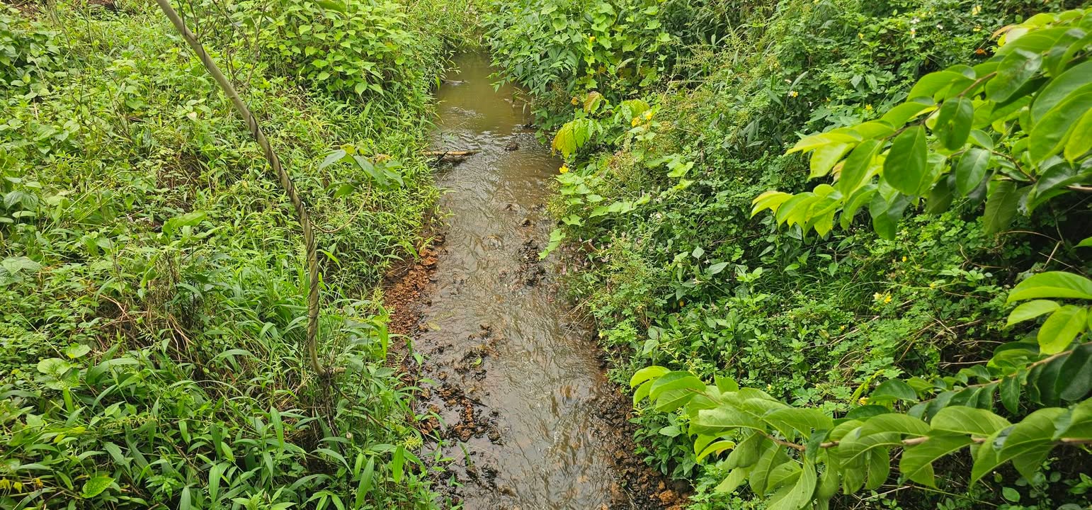 Đất nền Láng Lớn, Châu Đức 5000m² giá 2.5 tỷ - Tiềm năng đầu tư tuyệt vời!