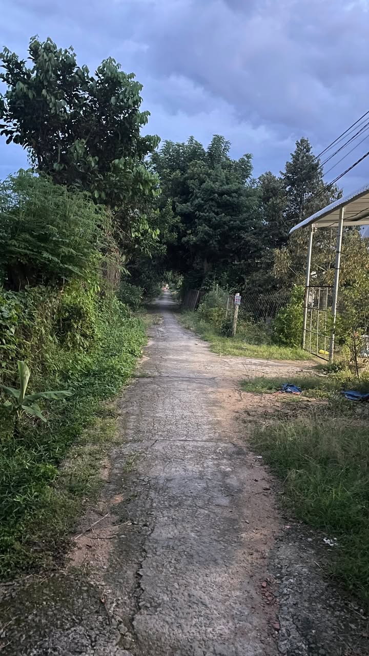 Đất nền Tân Thiềng Chợ Lách 1517m² giá 750 triệu - Đầu tư sinh lời ngay!