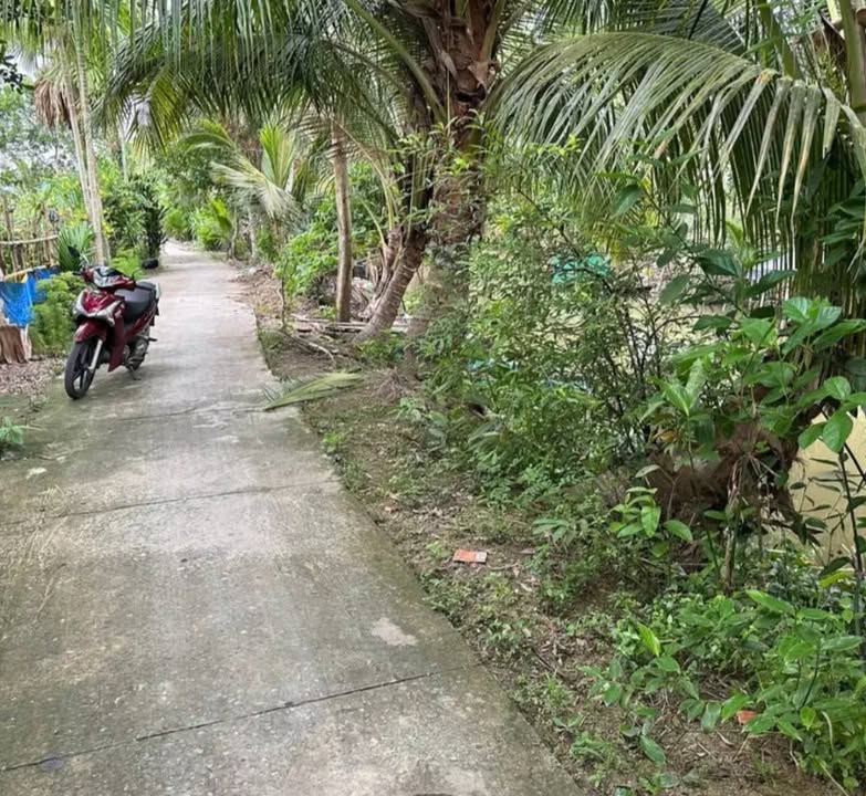 Bán đất nền liền kề tại phường Vị Thanh, Hậu Giang - Giá chỉ 720 triệu!