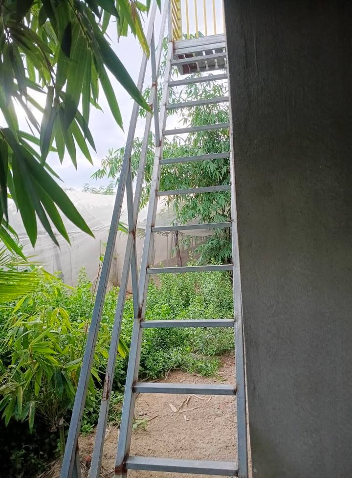 Nhà vườn cho thuê tại Thôn Thuận Lợi, Ninh Thuận - Diện tích 2000m² chỉ 2 triệu/tháng!