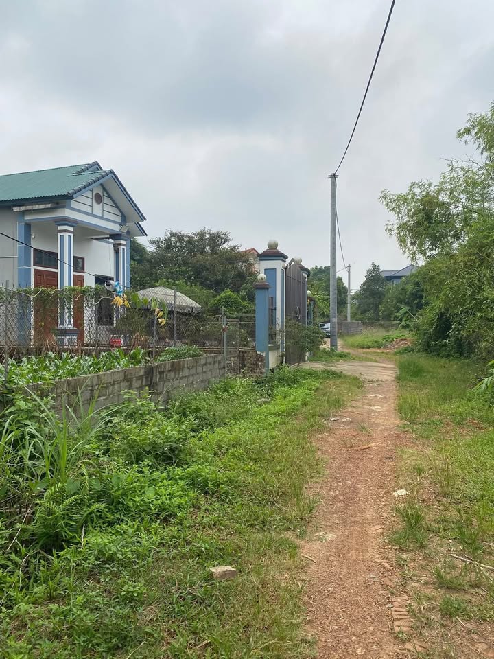 Đất thổ cư 250m² tại Phú Sơn, Ba Vì giá chỉ vài triệu/m² - Cơ hội đầu tư hấp dẫn!