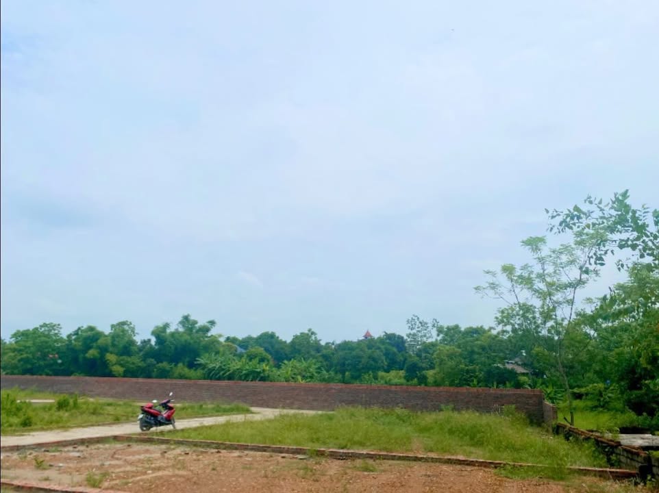 Đất nền Vô Khuy Cẩm Lĩnh 148m² giá chỉ 100 triệu - Sẵn sàng giao dịch!