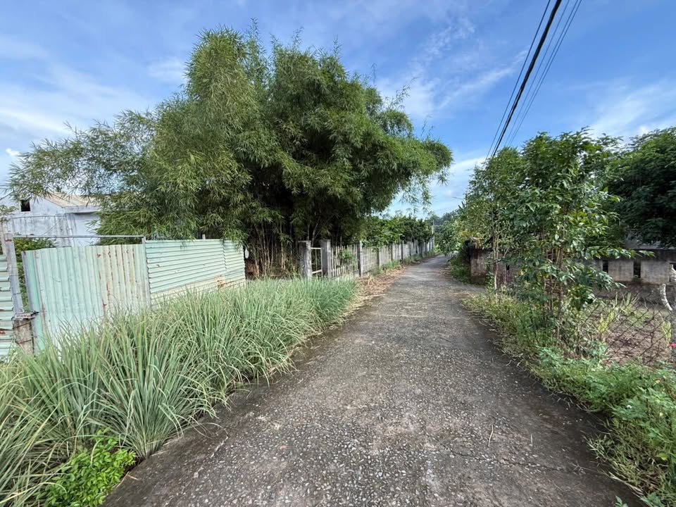 Đất nền Hòa Phong - Hòa Vang 190m² giá 1.4 tỷ - Đường ô tô thông thoáng!