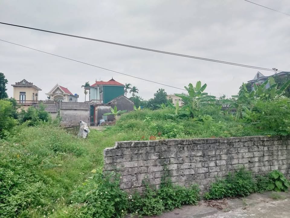 Đất nền khu phố Bồ Trang 1, Quỳnh Hoa 563m² - Mặt tiền 19m, giá thỏa thuận!