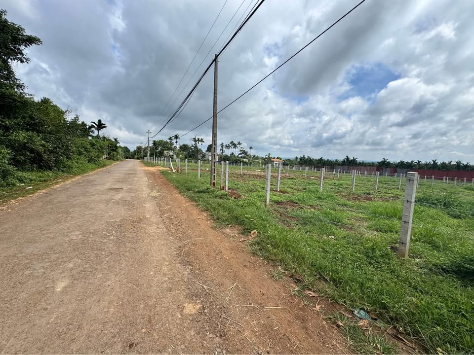 Đất nền Tân Lập 500m² giá 2.09 tỷ - Sổ đỏ chính chủ, cơ hội đầu tư tuyệt vời!