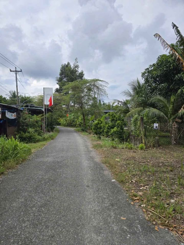 Đất nền mặt tiền Nhơn Thạnh Bến Tre 74.6m² giá 520 triệu - Cơ hội đầu tư tuyệt vời!