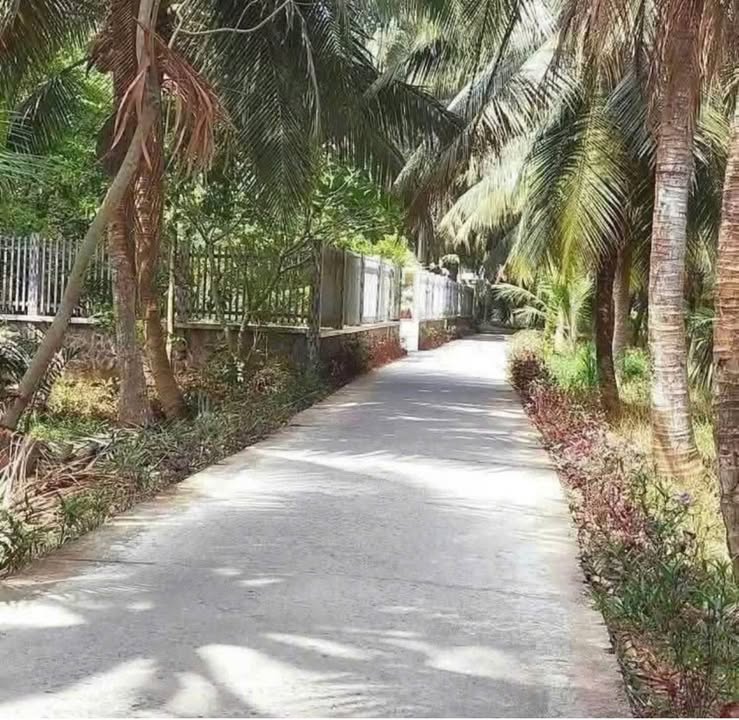 Đất mặt tiền ô tô 1500m² tại Sơn Phú, Giồng Trôm - Giá 1.95 tỷ, thương lượng nhẹ!