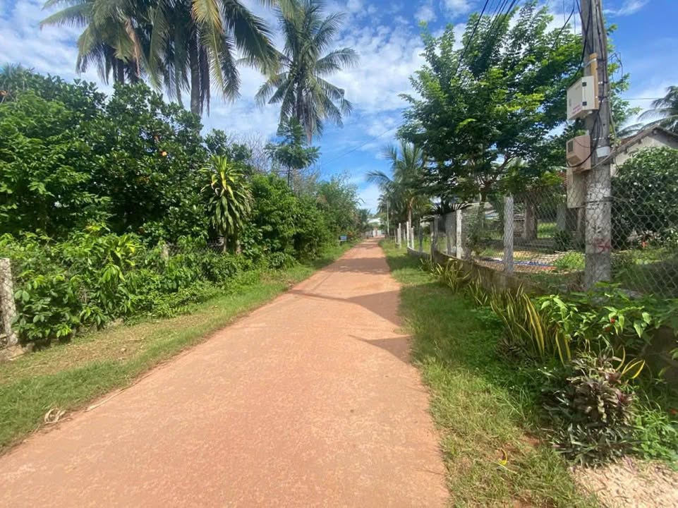 Đất nền Kp Lâm Trúc, P Hoài Nhơn 150m² giá 590 triệu - Đầu tư sinh lời ngay!