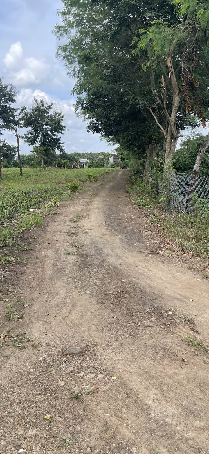 Đất nền thổ cư xã Ea Drong, Buôn Hồ 500m² giá 145 triệu - Cơ hội đầu tư hấp dẫn!