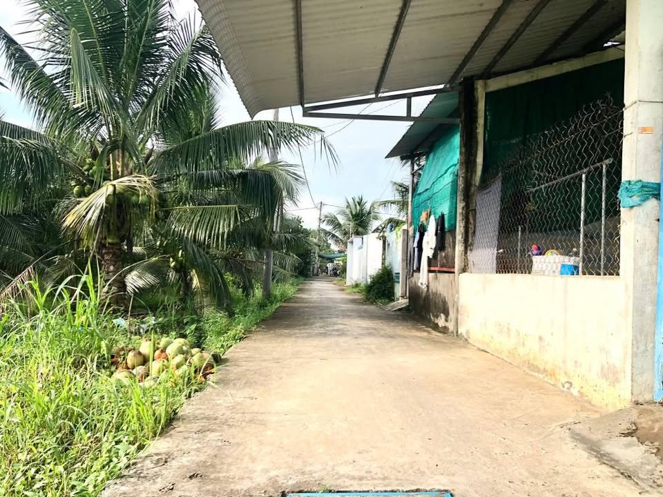 Đất nền chính chủ tại Phường Mỹ Phong - TP Mỹ Tho, 100m² chỉ 485 triệu - Đầu tư sinh lời!