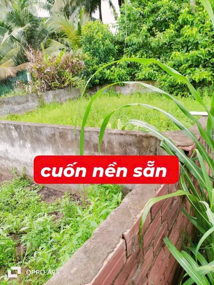 Đất nền Kinh A, huyện Càng Long, 225m² giá 550 triệu - Nâng cấp hạ tầng thuận lợi!