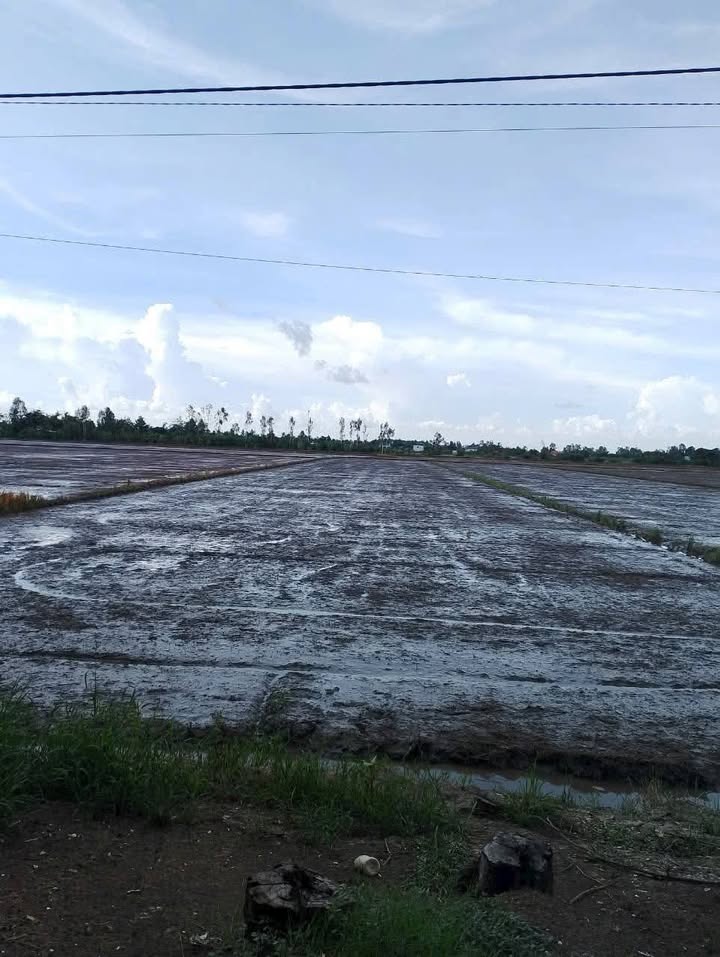 Đất nông nghiệp Rạch Giá 11 công - Giá chỉ 3.462 tỷ, cơ hội đầu tư hấp dẫn!