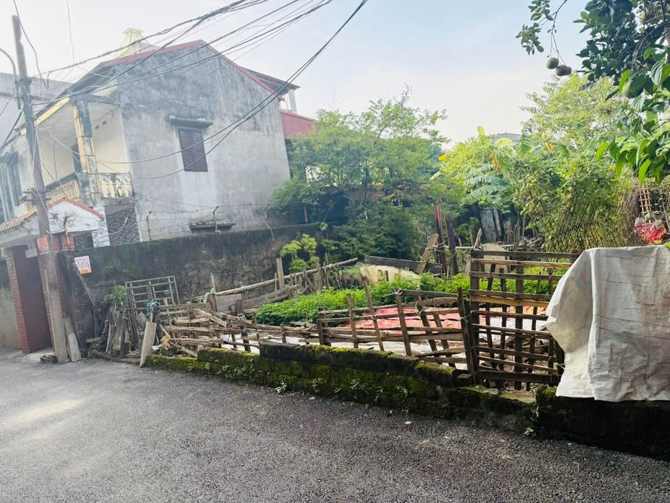 Đất liền kề Khu Hồng Hà 1, Thọ Sơn, Việt Trì 77.5m² giá 1.8 tỷ - Đầu tư sinh lời ngay!