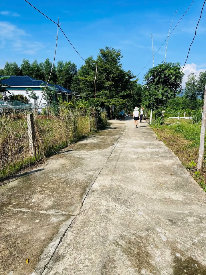 Đất nền Hòa Phong Đà Nẵng 160m² giá 1.1 tỷ - Đầu tư sinh lời ngay!