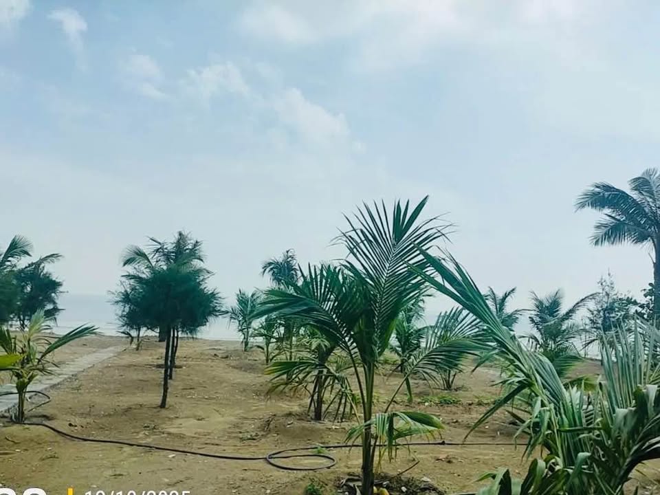 Đất nền view biển Thanh Hóa 1350m² giá 23 tỷ - Đầu tư sinh lời cao!