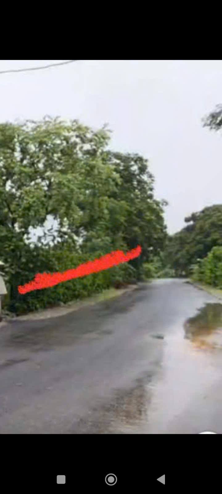 Đất mặt đường tỉnh lộ 518D Lộc Thịnh 608m² giá chỉ 595 triệu - Tiềm năng sinh lời cao!