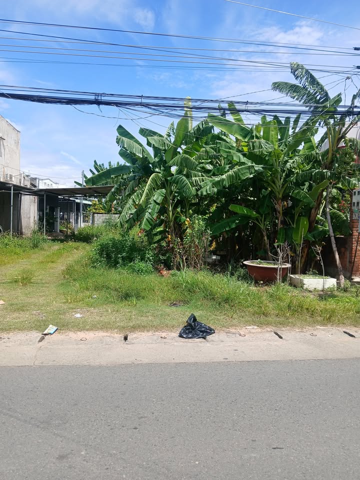 Đất mặt tiền đường Ngô Đức Tốn, Phan Thiết 116m² - Kinh doanh lý tưởng!