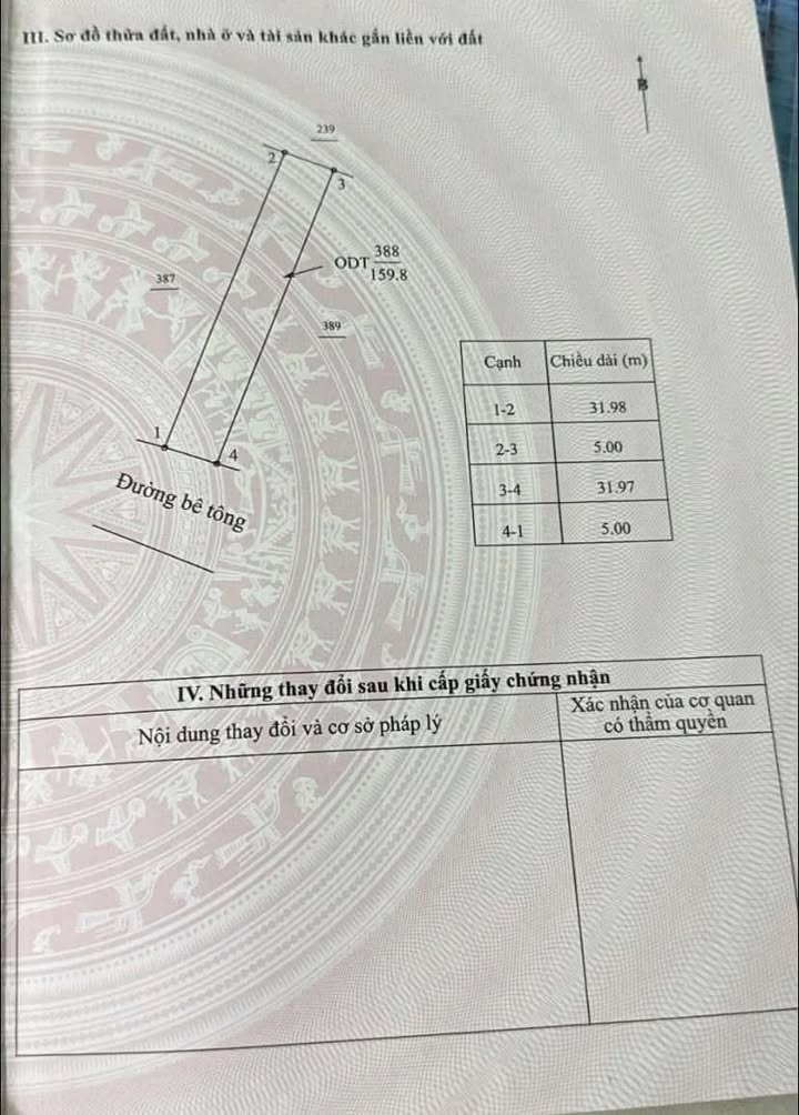 Đất nền Hộ Khẩu Thị trấn Chợ Chùa 158,9m² giá 800 triệu - Sổ đỏ chính chủ!