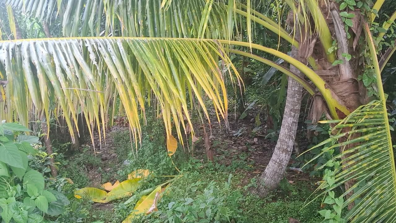 Bán đất 203m² mặt tiền đường Đoàn Thị Nghiệp - Vị trí đắc địa tại Mỹ Tho