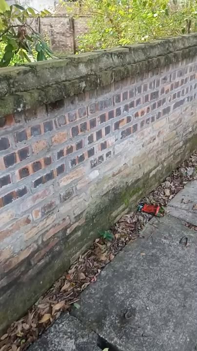 Đất lô góc thôn Đồng Xuyên, xã Cẩm Hưng, 300m² giá 5 tỷ - Kinh doanh thuận lợi!