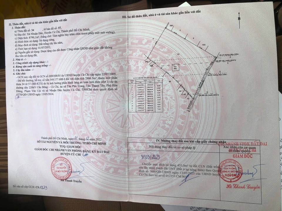 Đất Farm Nhuận Đức Củ Chi 8791m² giá 12 tỷ - Tiềm năng đầu tư sinh lời cao!