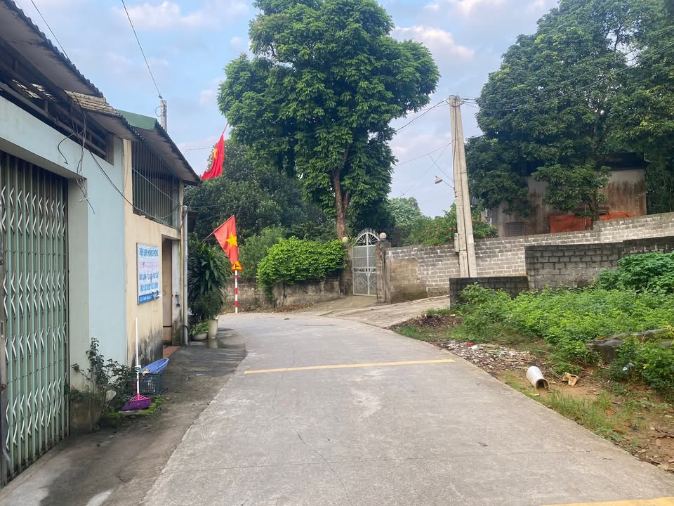 Đất sổ đỏ 95m² Hoà Sơn Lương Sơn - Giá chỉ 1.35 tỷ, đất cao thoáng!