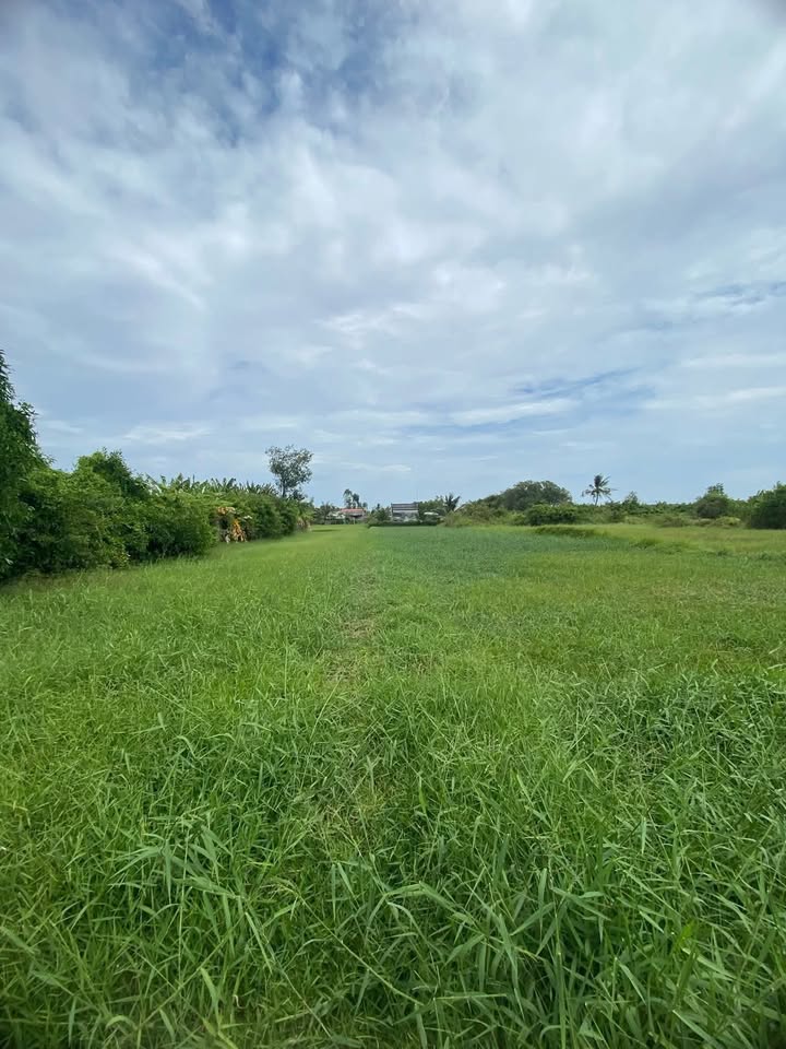 Đất trồng cỏ 950m² xã Vĩnh An, giá chỉ 360 triệu - Pháp lý rõ ràng!