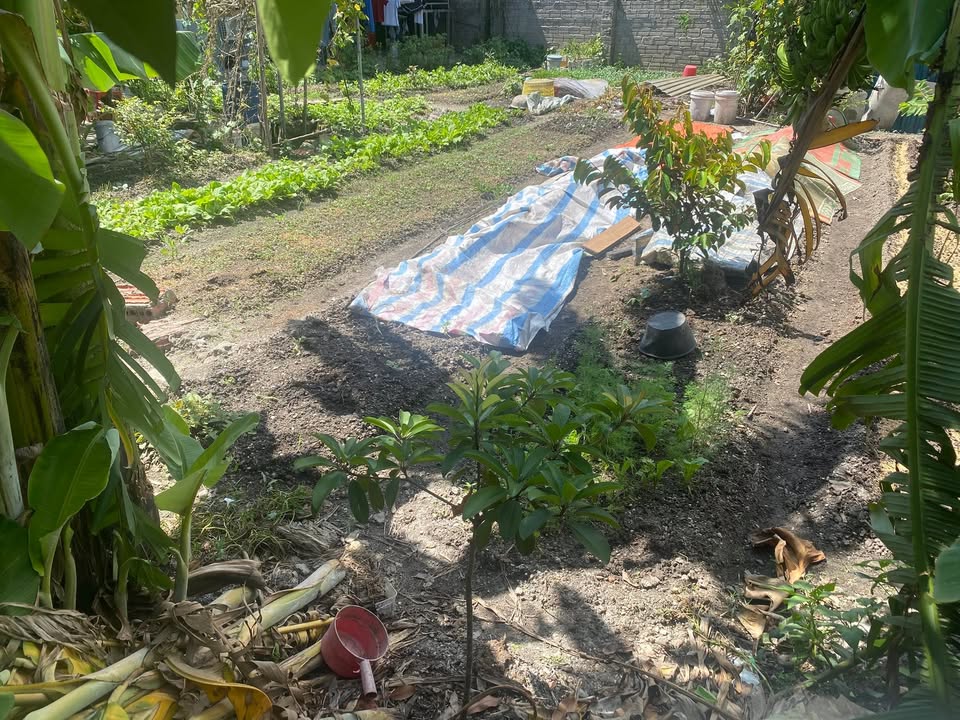 Đất nền 500m² tại Cửa Ông, giá 3.4 tỷ - Sổ đỏ chính chủ