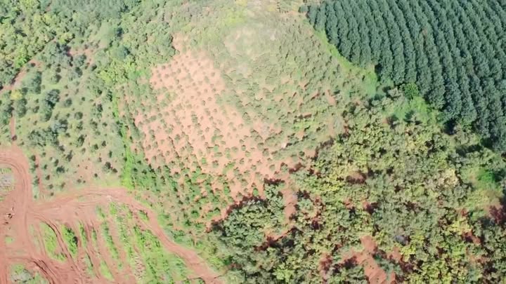 Đất nền Ia Chía, Gia Lai 3ha giá 1.2 tỷ - Cơ hội đầu tư tuyệt vời!