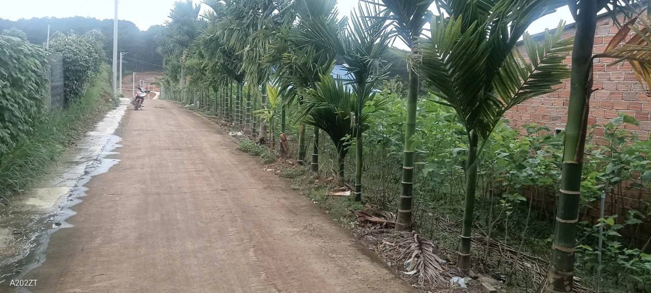 Đất nền tại xã Nam Ban Lâm Hà 350m² giá 950 triệu - Đầu tư sinh lời ngay!