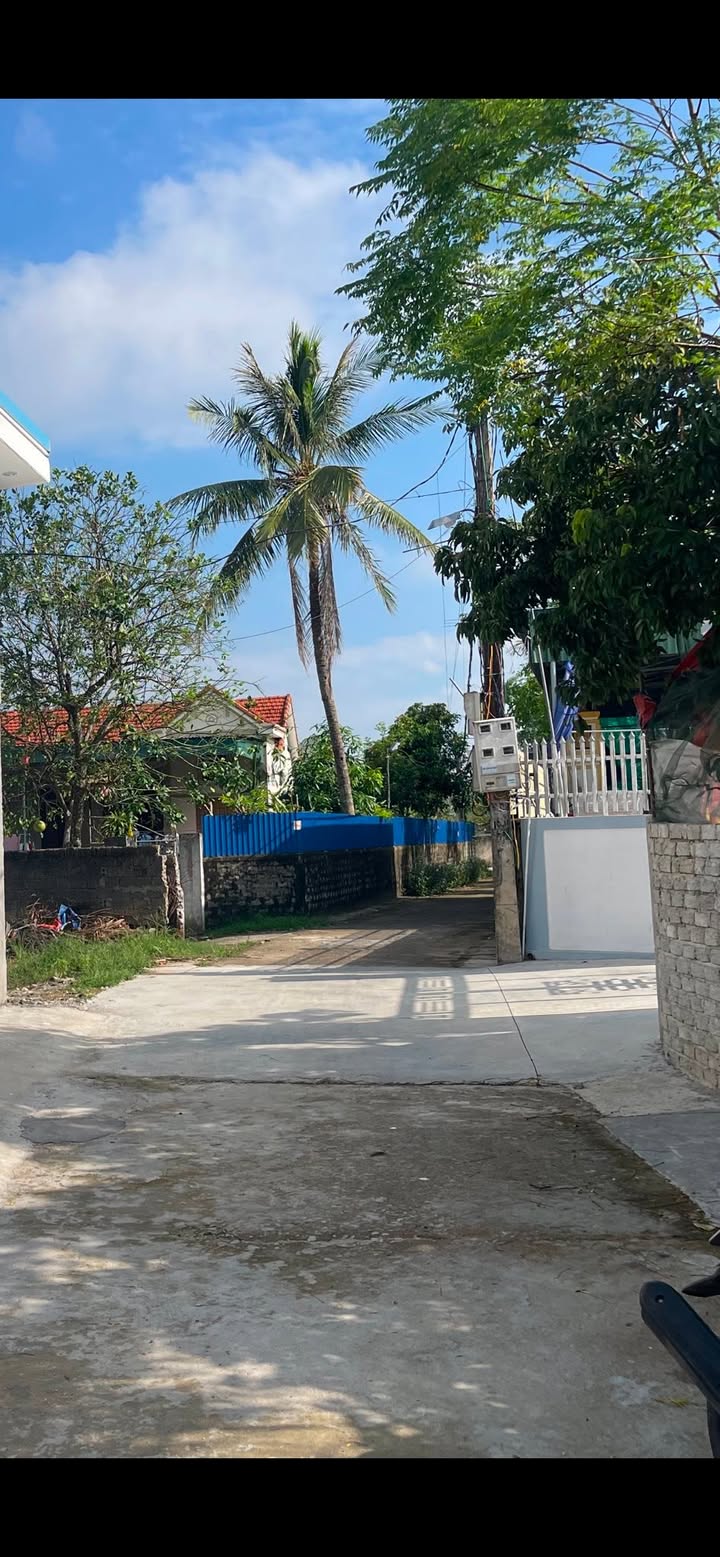 Đất chính chủ Diễn Hoàng 130m² giá 700 triệu - Cơ hội đầu tư tốt!