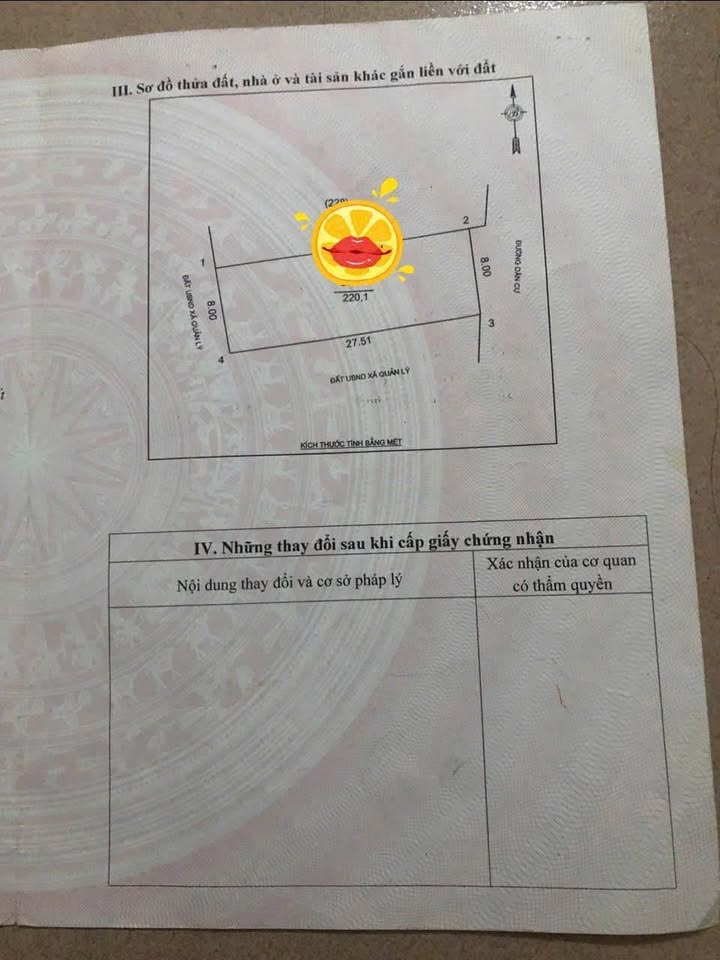 Đất nền Nghi Ân, Vinh 220m² giá 3 tỷ - Cơ hội đầu tư hiếm có!