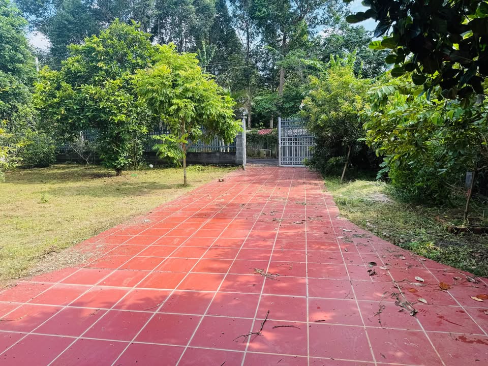 Bán vườn 1.000m² tại Long Phước, Bà Rịa - Giá 4 tỷ - Sổ hồng chính chủ!