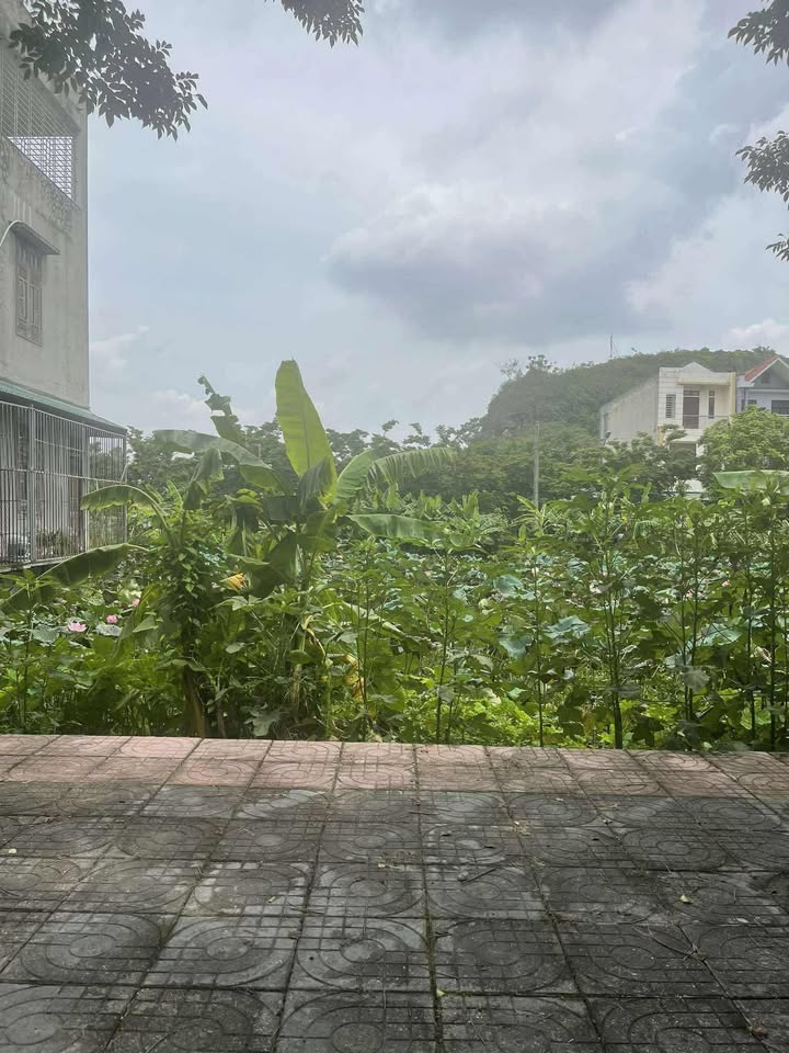 Đất nền liền kề tại Huyện Hoa Lư, Ninh Bình - 160m² chỉ 8 tỷ - Vị trí đắc địa