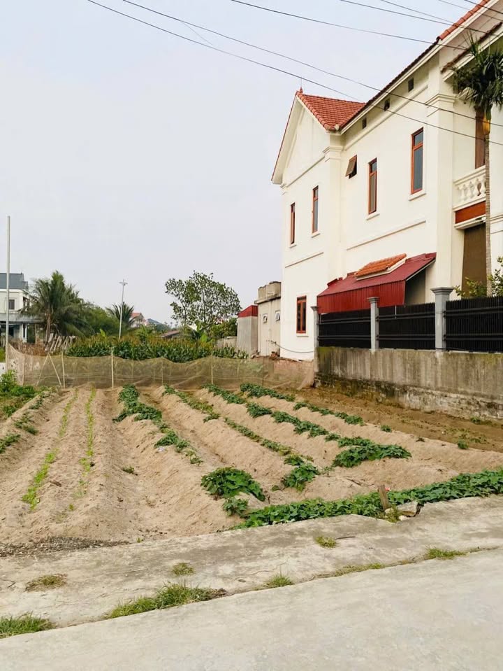 Đất nền Tân Hương Ninh Giang 77m² giá 500 triệu - Đầu tư sinh lời hấp dẫn!