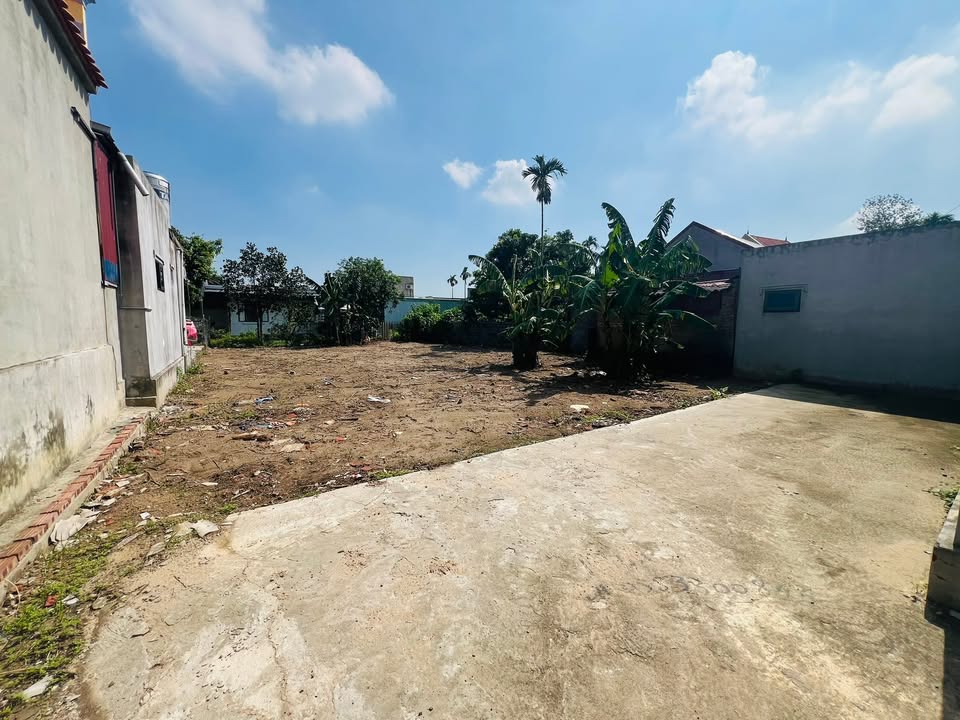 Đất nền thổ cư tại Thôn Xuân Chiếng, Hải Phòng, 243m² - Đầu tư sinh lời ngay!