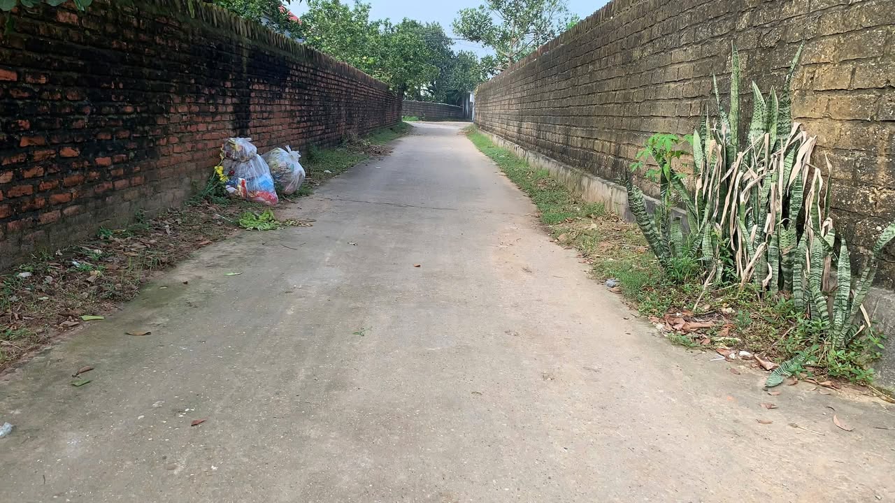 Đất nền chính chủ tại Danh Thắng, Hiệp Hòa, Bắc Giang 225m² - Giá chỉ 900 triệu!