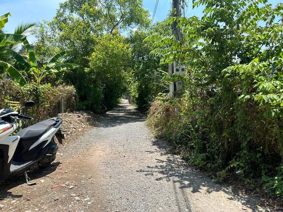 Bán vườn măng Hưng Định 10, Thuận An 1000m² - Giá rẻ bất ngờ!