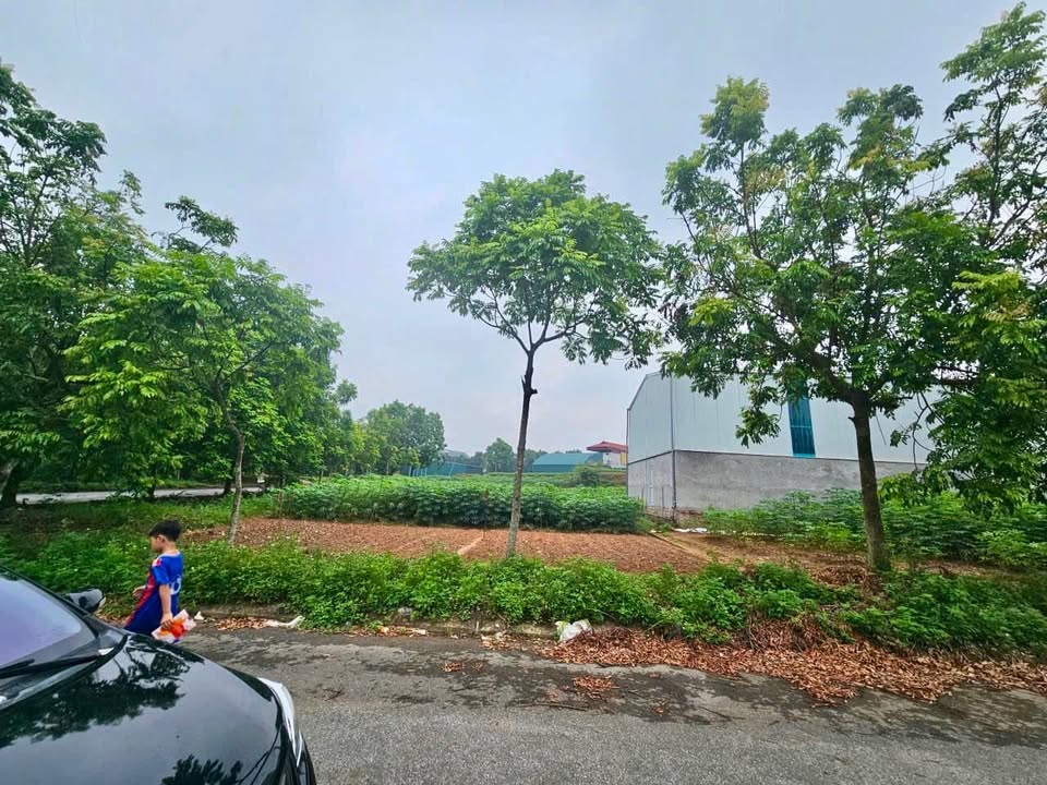 Đất nền Kim Đức, Việt Trì 100m² giá 2 tỷ - Đầu tư sinh lời cao!