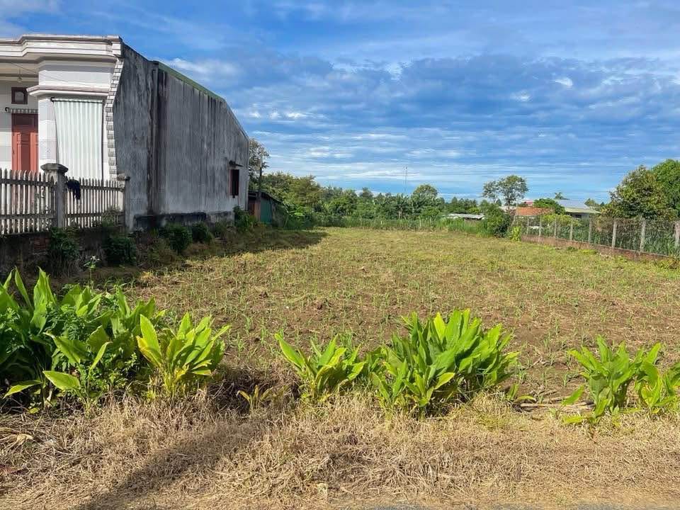 Đất nền Cư Ni, Ea Kar 360m² giá 750 triệu - Cơ hội đầu tư vàng!