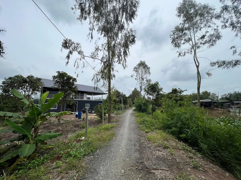 Farm 11.599m² tại Mỹ Hòa, Tháp Mười giá 5.8 tỷ - Đầu tư nghỉ dưỡng lý tưởng!