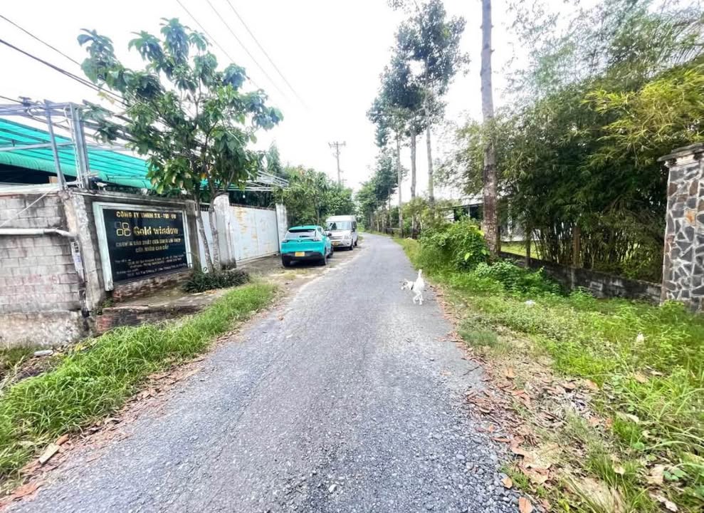 Đất thổ cư 300m² đường Lê Thị Siêng, Củ Chi - Giá 6.5 tỷ, thương lượng!