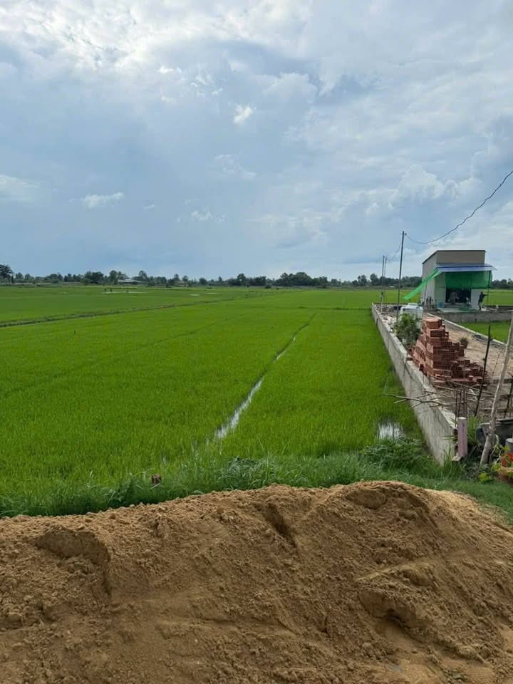 Đất vườn 8000m² Tân Phú, Đức Hòa - Giá chỉ 4 tỷ, cơ hội đầu tư lý tưởng!