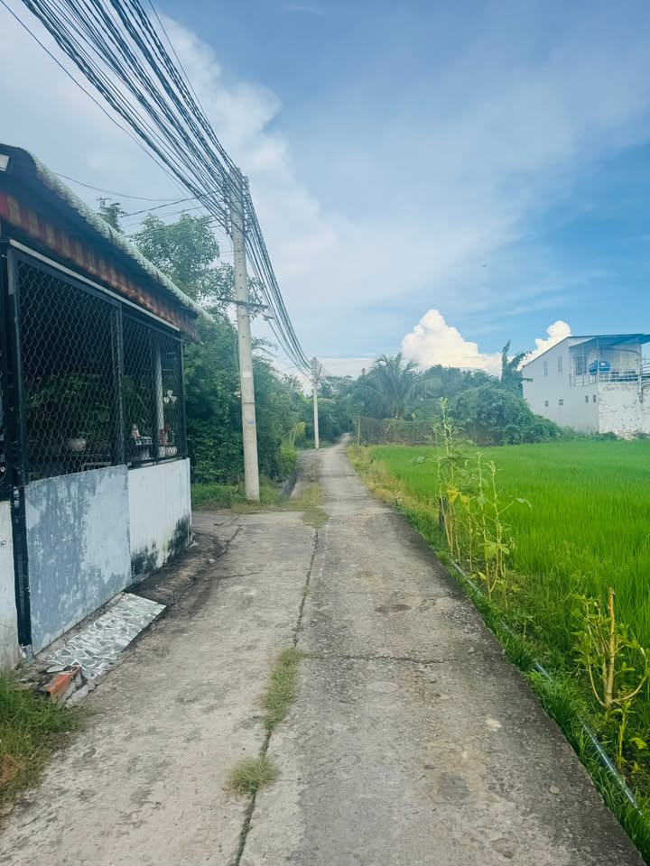 Đất thổ cư Phước Lâm Cần Giuộc 99m² giá tốt - Sổ đỏ chính chủ