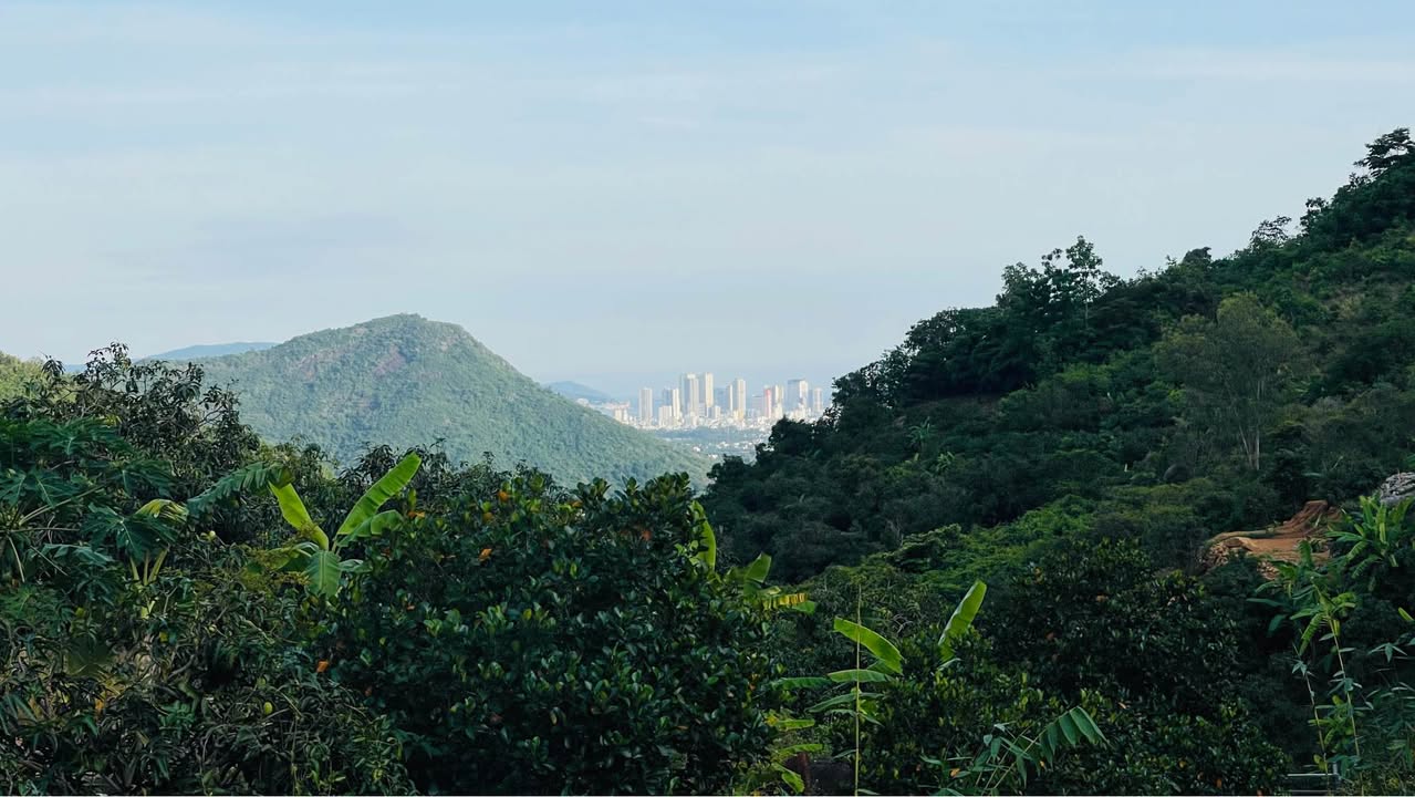 Đất thổ cư 140m² tại Diên An, Diên Khánh - Giá thỏa thuận, ô tô vào tận nơi!