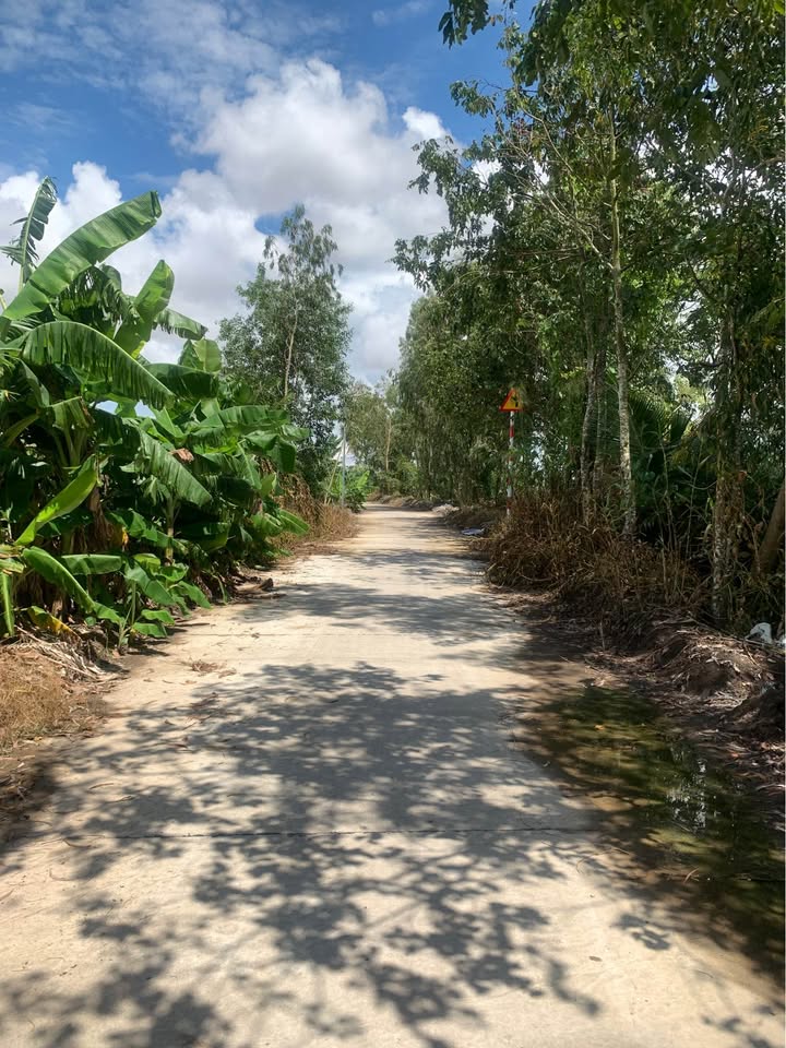 Đất vườn Đông Thuận, Thới Lai, Cần Thơ 1400m² giá 300 triệu - Sở hữu ngay!