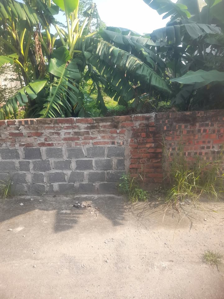 Đất nền Thái Đô Thái Bình 150m² giá 800 triệu - Đầu tư sinh lời gần khu công nghiệp!