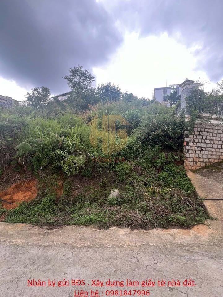 Đất Biệt Lập Khe Sanh P10 Đà Lạt 200m² giá 6.6 tỷ - Đầu tư sinh lời cao!