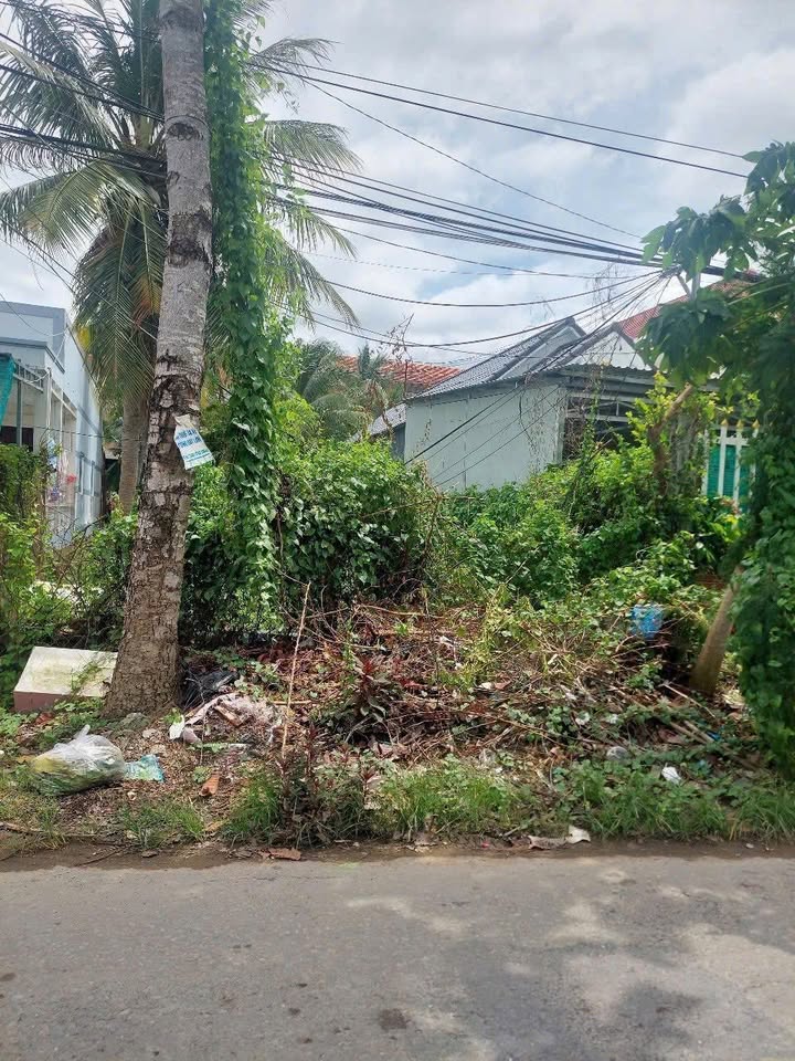 Đất nền Bình Phú, TP Bến Tre 289m² giá 2.6 tỷ - Mặt tiền lộ nhựa thuận tiện kinh doanh!